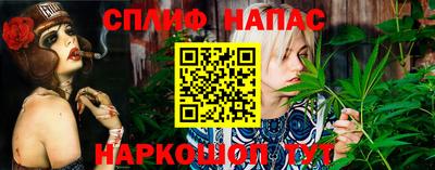 гидра Долгопрудный