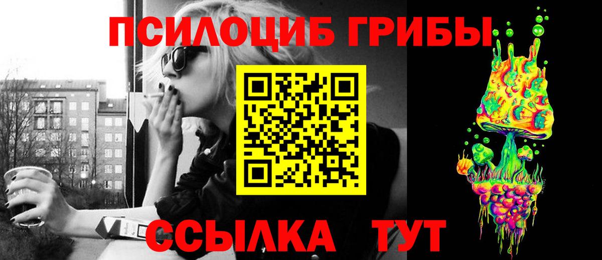 Галлюциногенные грибы Cubensis Богородицк