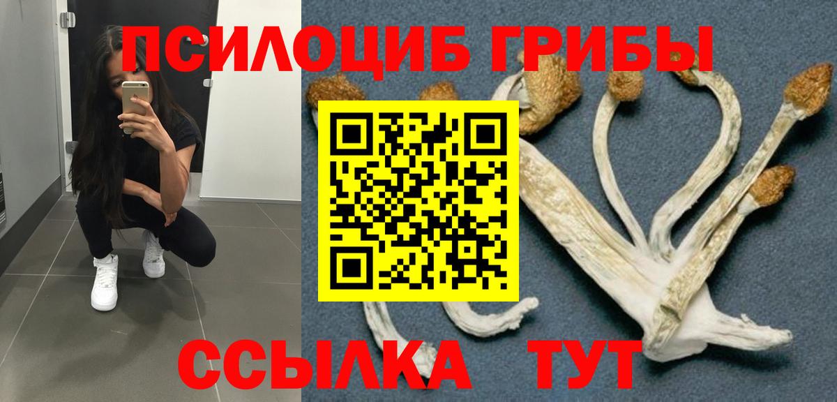 Галлюциногенные грибы GOLDEN TEACHER  Вход с VPN  Богородицк 